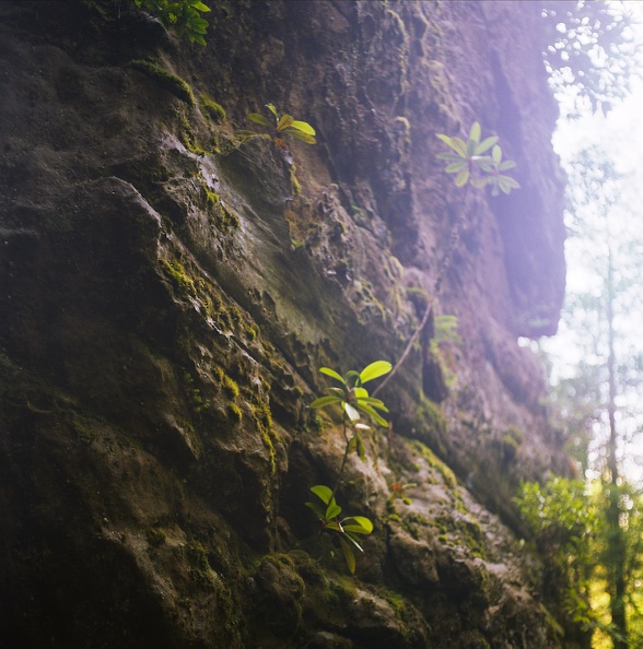 08_Cumberland Falls in June_ 2010.jpg